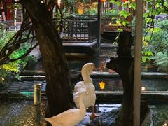 -优之名鹅城