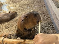 -顺德南宏海立方海洋公园
