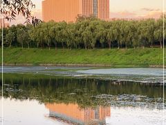 -中关村生命科学园