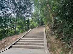 -青城山