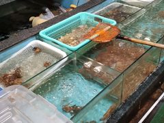 水产区-金辉海鲜餐厅