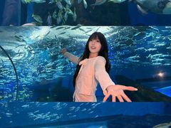 -海合安武汉极地海洋公园