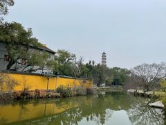 -江心屿景区