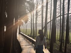 -武陵山森林公园