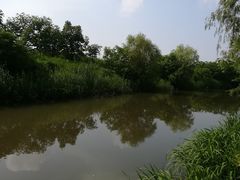 -新江湾城公园