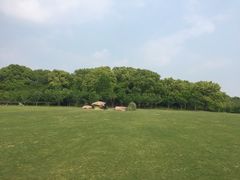 -昆山城市生态森林公园