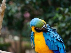 -杭州野生动物世界