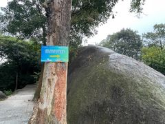 -火炉山森林公园