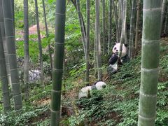 -天目湖御水温泉·度假酒店