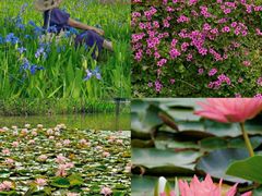 -白鹭湾湿地公园