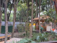 -二荆条·蜀鲜汇城市森林火锅