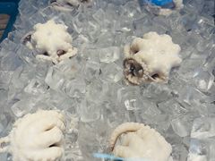 -铭聚章鱼土笋冻(松柏店)