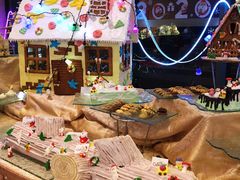 -廊坊固安福朋喜来登酒店