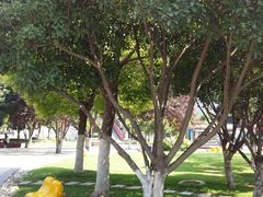 -西安创业咖啡街区