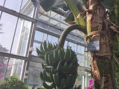 -北京植物园-展览温室