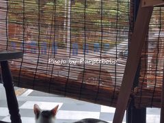 -251#coffee roasters(沿河东路店)