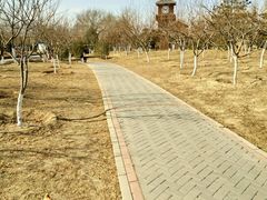 -永定河休闲森林公园