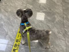 -美联众合爱康动物医院•复杂内科•肿瘤科•牙科•腔镜诊疗中心