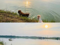 -梁子湖东篱老屋生态庄园
