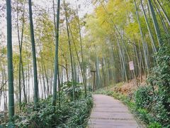 -天目湖涵田半山温泉