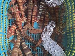 -鸿港海鲜批发市场