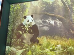 -珠海横琴国家地理探险家中心(创新方)