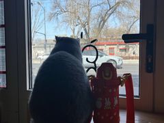 -猫小院猫主题餐厅(南锣旗舰店)