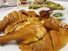 -金城小厨