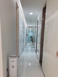 -agge蛋白医美