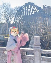 -小红帽摄影(丽江店)