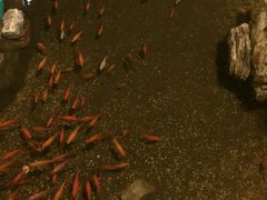 -大和洗浴休闲会所(宏大广场店)