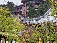 -宫事颐庭·老佛爷贵寿下午茶(颐和园店)