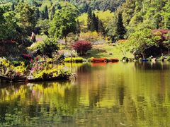 -深圳仙湖植物园