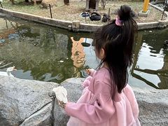 -灵玲国际马戏城