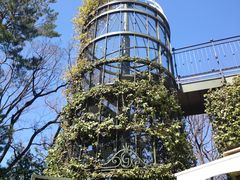 -三鹰之森吉卜力美术馆