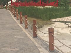 -武清南湖绿博园