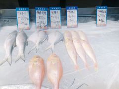 -闽海肴(北辰荟店)