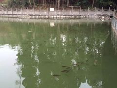 放生池-石经寺