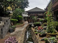 -山菌美食苑(振兴路店)