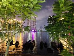 -闽江夜游台江旅游码头