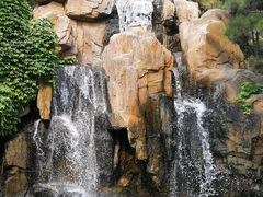 -燕塞湖鸟语林景区