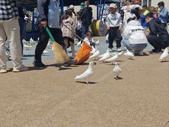 -烟台海昌鲸鲨海洋公园