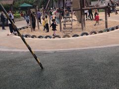 -成飞公园