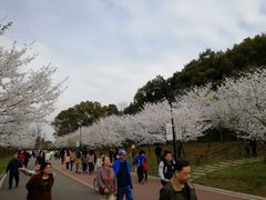 -团城山公园