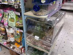 -FAELING PETS美天灵宠物(合生汇店)