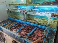 -老东镇啤酒屋海鲜加工·蒸汽海鲜·海鲜烧烤(台东店)