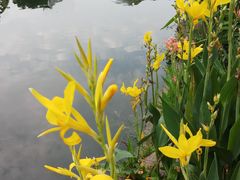 -苏州河梦清园环保主题公园