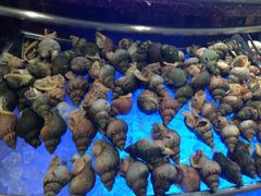 -北京盘古七星酒店