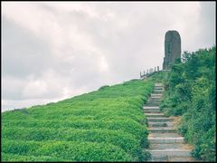 -东钱湖旅游度假区