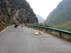 -叠溪松坪沟景区